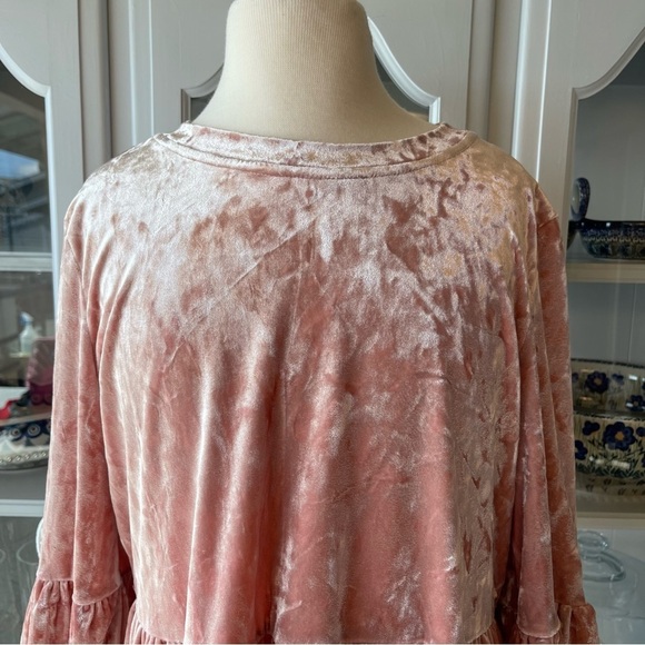 Cupio Velour Pink Blush Flounce Sleeve Empire Waist Top Sz S​​​ - Picture 2 of 6